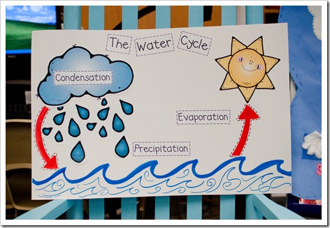 Weather Chick (Water Cycle)